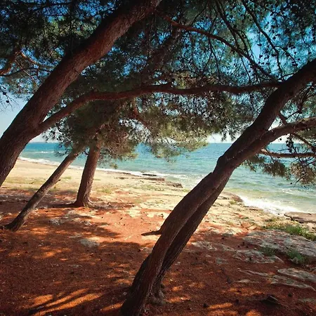 App Mirjam - Savudrija, Umag * Savudrija